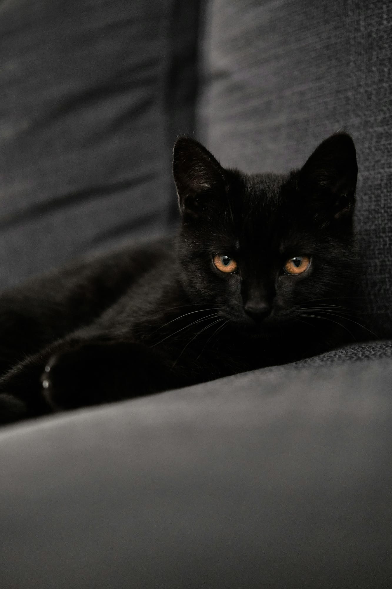 Willow